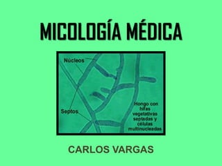 MICOLOGÍA MÉDICA




   CARLOS VARGAS
 