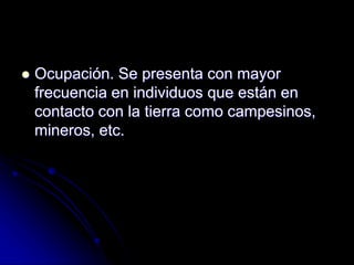  Ocupación. Se presenta con mayor 
frecuencia en individuos que están en 
contacto con la tierra como campesinos, 
mineros, etc. 
