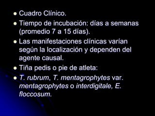  Cuadro Clínico. 
 Tiempo de incubación: días a semanas 
(promedio 7 a 15 días). 
 Las manifestaciones clínicas varían 
según la localización y dependen del 
agente causal. 
 Tiña pedis o pie de atleta: 
 T. rubrum, T. mentagrophytes var. 
mentagrophytes o interdigitale, E. 
floccosum. 
 