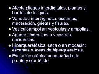  Afecta plieges interdigitales, plantas y 
bordes de los pies. 
 Variedad intertriginosa: escamas, 
maceración, grietas y fisuras. 
 Vesiculoampollar: vesículas y ampollas. 
 Aguda: ulceraciones y costras 
melicéricas. 
 Hiperqueratósica, seca o en mocasín: 
escamas y áreas de hiperqueratosis. 
 Evolución crónica acompañada de 
prurito y olor fétido. 
 