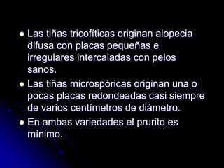  Las tiñas tricofíticas originan alopecia 
difusa con placas pequeñas e 
irregulares intercaladas con pelos 
sanos. 
 Las tiñas microspóricas originan una o 
pocas placas redondeadas casi siempre 
de varios centímetros de diámetro. 
 En ambas variedades el prurito es 
mínimo. 
 