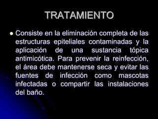 TRATAMIENTO 
 Consiste en la eliminación completa de las 
estructuras epiteliales contaminadas y la 
aplicación de una sustancia tópica 
antimicótica. Para prevenir la reinfección, 
el área debe mantenerse seca y evitar las 
fuentes de infección como mascotas 
infectadas o compartir las instalaciones 
del baño. 
 