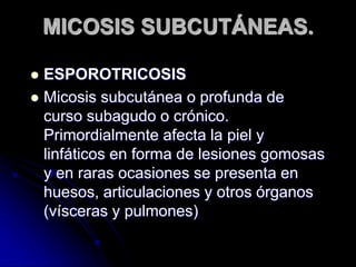 MICOSIS SUBCUTÁNEAS. 
 ESPOROTRICOSIS 
 Micosis subcutánea o profunda de 
curso subagudo o crónico. 
Primordialmente afecta la piel y 
linfáticos en forma de lesiones gomosas 
y en raras ocasiones se presenta en 
huesos, articulaciones y otros órganos 
(vísceras y pulmones) 
 