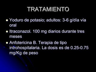 TRATAMIENTO 
 Yoduro de potasio; adultos: 3-6 g/día vía 
oral 
 Itraconazol. 100 mg diarios durante tres 
meses 
 Anfotericina B. Terapia de tipo 
introhospitalaria. La dosis es de 0.25-0.75 
mg/Kg de peso 
 