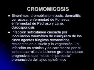 CROMOMICOSIS 
 Sinónimos: cromoblastomicosis, dermatitis 
verrucosa, enfermedad de Fonseca, 
enfermedad de Pedroso y Lane, 
cladosporiosis 
 Infección subcutánea causada por 
inoculación traumática de cualquiera de los 
cinco agentes fúngicos reconocidos 
residentes en el suelo y la vegetación. La 
infección es crónica y se caracteriza por el 
lento desarrollo de lesiones granulomatosas 
progresivas que inducen hiperplasia* 
pronunciada del tejido epidérmico 
 