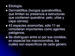  Etiología: 
 Dermatófitos (hongos queratinófilos, 
que limitan su presencia a estructuras 
que contienen queratina: pelo, uñas y 
capa córnea). 
 43 especies anamorfas; sólo 11 se 
consideran importantes como agentes 
patógenos. 
 Se distinguen entre sí por sus conidios, 
en especial los macroconidios, los 
cuáles son específicos de cada género. 
 