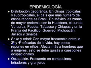 EPIDEMIOLOGÍA 
 Distribución geográfica. En climas tropicales 
y subtropicales, el país que más número de 
casos reporta es Brasil. En México las zonas 
de mayor endemia son la Huasteca, el sur de 
Veracruz, Puebla, Tabasco y Chiapas y en la 
Franja del Pacífico: Guerreo, Michoacán, 
Jalisco y Sinaloa 
 Sexo y edad: Con mayor frecuencia entre la 
3ª y 4ª décadas de la vida, hay pocos 
reportes en niños. Afecta más a hombres que 
a mujeres; esto se debe quizás a cuestiones 
ocupacionales. 
 Ocupación. Frecuente en campesinos, 
leñadores y granjeros 
 