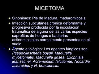 MICETOMA 
 Sinónimos: Pie de Madura, maduromicosis 
 Infección subcutánea crónica deformante y 
progresiva producida por la inoculación 
traumática de alguna de las varias especies 
saprofitas de hongos o bacterias 
actinomicetales normalmente presentes en el 
suelo 
 Agente etiológico: Los agentes fúngicos son 
Pseudollescheria boydii, Madurella 
mycetomatis, Madurella grisea, Exophiala 
jeanselmei, Acremonium falciforme, Nocardia 
asteroides y N. brasiliensis. 
 
