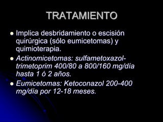 TRATAMIENTO 
 Implica desbridamiento o escisión 
quirúrgica (sólo eumicetomas) y 
quimioterapia. 
 Actinomicetomas: sulfametoxazol-trimetoprim 
400/80 a 800/160 mg/día 
hasta 1 ó 2 años. 
 Eumicetomas: Ketoconazol 200-400 
mg/día por 12-18 meses. 
 