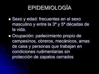EPIDEMIOLOGÍA 
 Sexo y edad: frecuentes en el sexo 
masculino y entre la 3ª y 5ª décadas de 
la vida. 
 Ocupación: padecimiento propio de 
campesinos, obreros, mecánicos, amas 
de casa y personas que trabajan en 
condiciones rudimentarias sin 
protección de zapatos cerrados 
 