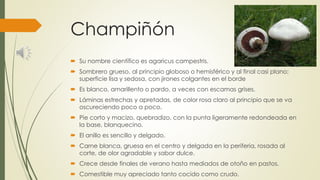 Champiñón
 Su nombre científico es agaricus campestris.
 Sombrero grueso, al principio globoso o hemisférico y al final casi plano;
superficie lisa y sedosa, con jirones colgantes en el borde
 Es blanco, amarillento o pardo, a veces con escamas grises.
 Láminas estrechas y apretadas, de color rosa claro al principio que se va
oscureciendo poco a poco.
 Pie corto y macizo, quebradizo, con la punta ligeramente redondeada en
la base, blanquecino.
 El anillo es sencillo y delgado.
 Carne blanca, gruesa en el centro y delgada en la periferia, rosada al
corte, de olor agradable y sabor dulce.
 Crece desde finales de verano hasta mediados de otoño en pastos.
 Comestible muy apreciado tanto cocido como crudo.
 