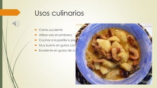 Usos culinarios
 Carne suculenta
 Utilizar solo el sombrero.
 Cocinar a la parrilla o prepararla íntegra en la sartén con perejil.
 Muy bueno en guisos con patatas y chorizo.
 Excelente en guisos de caza.
 