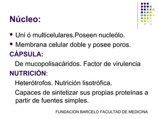 Núcleo:
 Uni ó multicelulares.Poseen nucleólo.
 Membrana celular doble y posee poros.

CÁPSULA:
  De mucopolisacáridos. Factor de virulencia
NUTRICIÓN:
  Heterótrofos. Nutrición lisotrófica.
  Capaces de sintetizar sus propias proteínas a
  partir de fuentes simples.
               FUNDACION BARCELO FACULTAD DE MEDICINA
 
