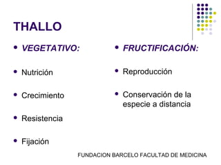 THALLO
   VEGETATIVO:                FRUCTIFICACIÓN:

   Nutrición                  Reproducción

   Crecimiento                Conservación de la
                                especie a distancia
   Resistencia

   Fijación
                  FUNDACION BARCELO FACULTAD DE MEDICINA
 