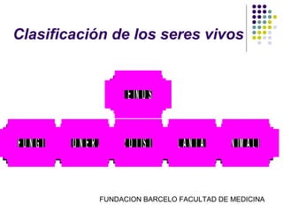 Clasificación de los seres vivos


                       R E IN O S

FUNGI   M O N E R A P R O T IS T A P L A N T A E A N IM A L IA


                 FUNDACION BARCELO FACULTAD DE MEDICINA
 