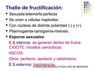 Thallo de fructificación:
 Sexuada:telemorfa:perfecta

 Se unen a células haploides.
 Con núcleos de distinta polaridad (-) y (+).

 Plasmogamia-cariogamia-meiosis.

 Esporos sexuados:

  E.S.internos: se generan dentro de frutos:
  CIGOTE: micelios cenocíticos.
  ASCOS.
  Otros: peritecio, apotecio y cleistotecio.
  E.S.externos: FUNDACION BARCELO FACULTAD DE MEDICINA
                 basiosporos.
 