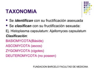 TAXONOMiA
 Se identifican con su fructificación asexuada
 Se clasifican con su fructificación sexuada:

Ej. Histoplasma capsulatum: Ajellomyces capsulatum
Clasificación:
BASIOMYCOTA(Báside)
ASCOMYCOTA (ascos)
ZYGOMYCOTA (cigotes)
DEUTEROMYCOTA (no poseen)


                FUNDACION BARCELO FACULTAD DE MEDICINA
 