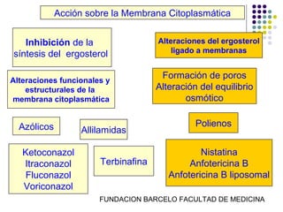 Acción sobre la Membrana Citoplasmática


   Inhibición de la                  Alteraciones del ergosterol
síntesis del ergosterol                  ligado a membranas


Alteraciones funcionales y
                                      Formación de poros
    estructurales de la              Alteración del equilibrio
membrana citoplasmática                     osmótico


  Azólicos                                     Polienos
                  Allilamidas

   Ketoconazol                                  Nistatina
   Itraconazol         Terbinafina           Anfotericina B
    Fluconazol                          Anfotericina B liposomal
   Voriconazol
                       FUNDACION BARCELO FACULTAD DE MEDICINA
 