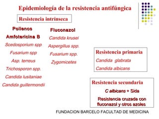 Epidemiología de la resistencia antifúngica
        Resistencia intrínseca
     Polienos            Fluconazol
  Amfotericina B        Candida krusei
 Scedosporium spp       Aspergillus spp.
   Fusarium spp         Fusarium spp.       Resistencia primaria
    Asp. terreus         Zygomicetes        Candida glabrata
 Trichosporon spp.                          Candida albicans
 Candida lusitaniae
Candida guillermondii                      Resistencia secundaria
                                                C albicans + Sida
                                              Resistencia cruzada con
                                             fluconazol y otros azoles
                            FUNDACION BARCELO FACULTAD DE MEDICINA
 