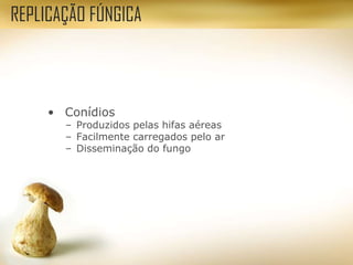 • Conídios
– Produzidos pelas hifas aéreas
– Facilmente carregados pelo ar
– Disseminação do fungo
REPLICAÇÃO FÚNGICA
 