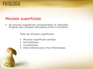 Micoses superficiais
• As micoses superficiais compreendem as infecções
fúngicas que atingem pele,pelos,unhas e mucosas.
PATOLOGIA
Tipos de micoses superficiais:
• Micoses superficiais estritas
• Dermafitoses
• Leveduroses
• Hialo-hifomicoses e feo-hifomicoses
 