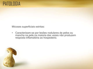 Micoses superficiais estritas:
• Caracterizam-se por lesões nodulares de pelos ou
mancha na pele,na maioria das vezes não produzem
resposta inflamatória ao hospedeiro.
PATOLOGIA
 