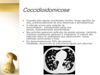 Coccidioidomicose
• Causada pelo agente coccidioides immitis, fungo sapróbio do
solo, preferencialmente de área desérticas e semidesérticas.
• A infecção ocorre pela inalação de
artroconídeos , transportados pelas vias
aéreas, frequentemente assintomática.
• Nos pulmões aparecem esférulas de parede grossas, contendo
inúmeras endósporos globosos e irregulares. A ruptura das
esférulas libera os endósporos que desenvolvem novas
esférulas continuando o ciclo.
• Em aproximadamente 40% das pessoas
infectadas, desenvolve-se pneumonia aguda com pleurisia.
 