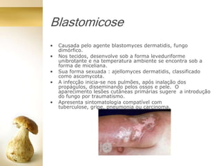 Blastomicose
• Causada pelo agente blastomyces dermatidis, fungo
dimórfico.
• Nos tecidos, desenvolve sob a forma leveduriforme
unibrotante e na temperatura ambiente se encontra sob a
forma de miceliana.
• Sua forma sexuada : ajellomyces dermatidis, classificado
como ascomycota.
• A infecção inicia-se nos pulmões, após inalação dos
propágulos, disseminando pelos ossos e pele. O
aparecimento lesões cutâneas primárias sugere a introdução
do fungo por traumatismo.
• Apresenta sintomatologia compatível com
tuberculose, gripe, pneumonia ou carcinoma.
 