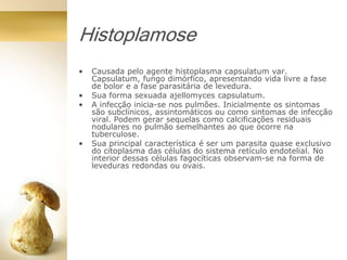 Histoplamose
• Causada pelo agente histoplasma capsulatum var.
Capsulatum, fungo dimórfico, apresentando vida livre a fase
de bolor e a fase parasitária de levedura.
• Sua forma sexuada ajellomyces capsulatum.
• A infecção inicia-se nos pulmões. Inicialmente os sintomas
são subclínicos, assintomáticos ou como sintomas de infecção
viral. Podem gerar sequelas como calcificações residuais
nodulares no pulmão semelhantes ao que ocorre na
tuberculose.
• Sua principal característica é ser um parasita quase exclusivo
do citoplasma das células do sistema retículo endotelial. No
interior dessas células fagocíticas observam-se na forma de
leveduras redondas ou ovais.
 