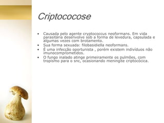 Criptococose
• Causada pelo agente cryptococcus neoformans. Em vida
parasitária desenvolve sob a forma de levedura, capsulada e
algumas vezes com brotamento.
• Sua forma sexuada: filobasidiella neoformans.
• É uma infecção oportunista , porém existem indivíduos não
imunocomprometidos.
• O fungo inalado atinge primeiramente os pulmões, com
tropismo para o snc, ocasionando meningite criptocócica.
 