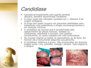 Candidíase
• Causada principalmente pelo agente candida
albicans, também denominada candidose.
• A maior parte das infecções causadas por c. Albicans é de
origem endógena.
• O fungo tem poder invasivo em pacientes debilitados pelo
tratamento com antibióticos e drogas imunossupressoras e
em doenças crônicas.
• A candidíase da mucosa oral é caracterizada pelo
aparecimento de placas brancas, isoladas ou
confluentes, aderentes a mucosa, com aspecto
membranoso, as vezes rodeada com halo eritematoso.
• Na mucosa vaginal as lesões se assemelham as da boca. No
homem ela é comumente adquirida sexualmente.
• A candidíase sistêmica é grave. São encontradas em diversos
órgãos como: rins, pulmões, coração, cérebro trato digestivo
e sangue.
 