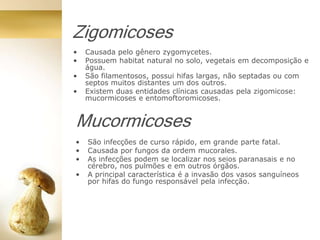 Zigomicoses
• Causada pelo gênero zygomycetes.
• Possuem habitat natural no solo, vegetais em decomposição e
água.
• São filamentosos, possui hifas largas, não septadas ou com
septos muitos distantes um dos outros.
• Existem duas entidades clínicas causadas pela zigomicose:
mucormicoses e entomoftoromicoses.
Mucormicoses
• São infecções de curso rápido, em grande parte fatal.
• Causada por fungos da ordem mucorales.
• As infecções podem se localizar nos seios paranasais e no
cérebro, nos pulmões e em outros órgãos.
• A principal característica é a invasão dos vasos sanguíneos
por hifas do fungo responsável pela infecção.
 