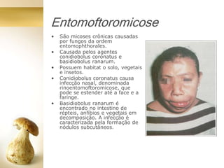 Entomoftoromicose
• São micoses crônicas causadas
por fungos da ordem
entomophthorales.
• Causada pelos agentes
conidiobolus coronatus e
basidiobolus ranarum.
• Possuem habitat o solo, vegetais
e insetos.
• Conidiobolus coronatus causa
infecção nasal, denominada
rinoentomoftoromicose, que
pode se estender até a face e a
faringe.
• Basidiobolus ranarum é
encontrado no intestino de
répteis, anfíbios e vegetais em
decomposição. A infecção é
caracterizada pela formação de
nódulos subcutâneos.
 