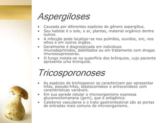 Aspergiloses
• Causada por diferentes espécies do gênero aspergillus.
• Seu habitat é o solo, o ar, plantas, material orgânico dentre
outros.
• A infecção pode localizar-se nos pulmões, ouvidos, snc, nos
olhos e em outros órgãos.
• Geralmente é diagnosticada em indivíduos
imunodeprimidos, debilitados ou em tratamento com drogas
imunossupressoras.
• O fungo instala-se na superfície dos brônquios, cujo paciente
apresenta uma bronquite.
Tricosporonoses
• As espécies de trichosporon se caracterizam por apresentar
hifas, pseudo-hifas, blastoconídeos e artroconídeos com
características variáveis.
• Em sua parede celular o microorganismo expressa
glucanoxilomanana (gxm), que é antigênica.
• Cateteres vasculares e o trato gastrointestinal são as portas
de entradas mais comuns do microorganismo.
 