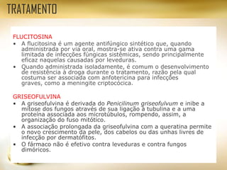 FLUCITOSINA
• A flucitosina é um agente antifúngico sintético que, quando
administrada por via oral, mostra-se ativa contra uma gama
limitada de infecções fúngicas sistêmicas, sendo principalmente
eficaz naquelas causadas por leveduras.
• Quando administrada isoladamente, é comum o desenvolvimento
de resistência à droga durante o tratamento, razão pela qual
costuma ser associada com anfotericina para infecções
graves, como a meningite criptocócica.
GRISEOFULVINA
• A griseofulvina é derivada do Penicilinum griseofulvum e inibe a
mitose dos fungos através de sua ligação à tubulina e a uma
proteína associada aos microtúbulos, rompendo, assim, a
organização do fuso mitótico.
• A associação prolongada da griseofulvina com a queratina permite
o novo crescimento da pele, dos cabelos ou das unhas livres de
infecção por dermatófitos.
• O fármaco não é efetivo contra leveduras e contra fungos
dimóricos.
TRATAMENTO
 