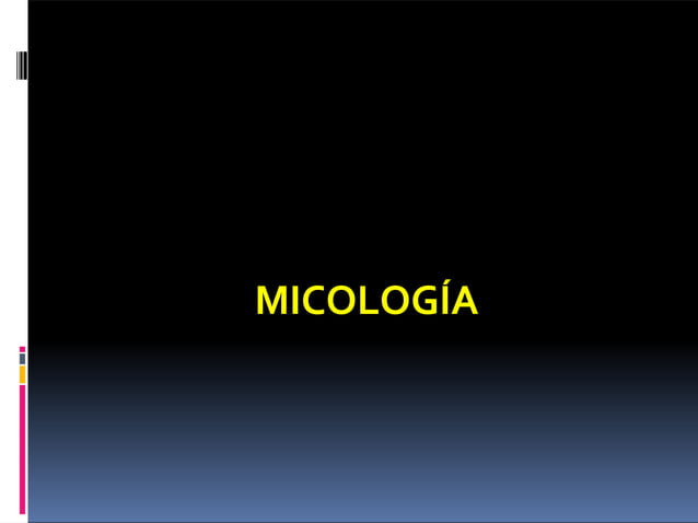 micologia-130706132123-phpapp01.pptx