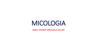 MICOLOGIA 
MAG: FREDDY ORIHUELA VILLAR 
 