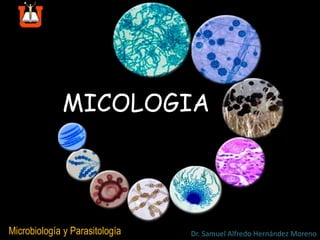 MICOLOGIA
Microbiología y Parasitología Dr. Samuel Alfredo Hernández Moreno
 