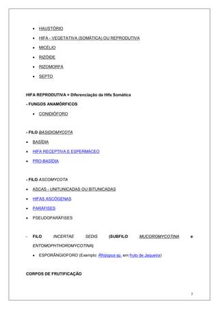 3
• HAUSTÓRIO
• HIFA - VEGETATIVA (SOMÁTICA) OU REPRODUTIVA
• MICÉLIO
• RIZÓIDE
• RIZOMORFA
• SEPTO
HIFA REPRODUTIVA = Diferenciação da Hifa Somática
- FUNGOS ANAMÓRFICOS
• CONIDIÓFORO
- FILO BASIDIOMYCOTA
• BASÍDIA
• HIFA RECEPTIVA E ESPERMÁCEO
• PRO-BASÍDIA
- FILO ASCOMYCOTA
• ASCAS - UNITUNICADAS OU BITUNICADAS
• HIFAS ASCÓGENAS
• PARÁFISES
• PSEUDOPARÁFISES
- FILO INCERTAE SEDIS (SUBFILO MUCOROMYCOTINA e
ENTOMOPHTHOROMYCOTINA)
• ESPORÂNGIOFORO (Exemplo: Rhizopus sp. em fruto de Jaqueira)
CORPOS DE FRUTIFICAÇÃO
 