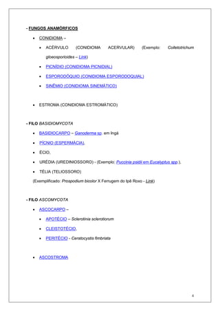4
- FUNGOS ANAMÓRFICOS
• CONIDIOMA –
• ACÈRVULO (CONIDIOMA ACERVULAR) (Exemplo: Colletotrichum
gloeosporioides – Link)
• PICNÍDIO (CONIDIOMA PICNIDIAL)
• ESPORODÓQUIO (CONIDIOMA ESPORODOQUIAL)
• SINÊMIO (CONIDIOMA SINEMÁTICO)
• ESTROMA (CONIDIOMA ESTROMÁTICO)
- FILO BASIDIOMYCOTA
• BASIDIOCARPO – Ganoderma sp. em Ingá
• PÍCNIO (ESPERMÁCIA),
• ÉCIO,
• URÉDIA (UREDINIOSSORO) - (Exemplo: Puccinia psidii em Eucalyptus spp.),
• TÉLIA (TELIOSSORO)
(Exemplificado: Prospodium bicolor X Ferrugem do Ipê Roxo - Link)
- FILO ASCOMYCOTA
• ASCOCARPO –
• APOTÉCIO – Sclerotinia sclerotiorum
• CLEISTOTÉCIO,
• PERITÉCIO - Ceratocystis fimbriata
• ASCOSTROMA
 