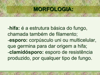 MORFOLOGIA: - hifa:  é a estrutura básica do fungo,  chamada também de filamento; - esporo:  corpúsculo uni ou multicelular, que germina para dar origem a hifa; - clamidósporo:  esporo de resistência produzido, por qualquer tipo de fungo. 