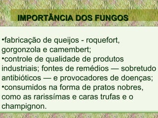 IMPORTÂNCIA   DOS FUNGOS fabricação de queijos - roquefort, gorgonzola e camembert;  controle de qualidade de produtos industriais; fontes de remédios — sobretudo antibióticos — e provocadores de doenças;  consumidos na forma de pratos nobres, como as rarissímas e caras trufas e o champignon.  