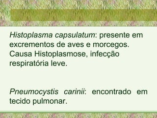 Histoplasma capsulatum : presente em excrementos de aves e morcegos. Causa Histoplasmose, infecção respiratória leve.  Pneumocystis carinii : encontrado em tecido pulmonar.  