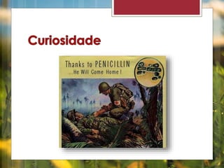 Apresentação de Micologia 