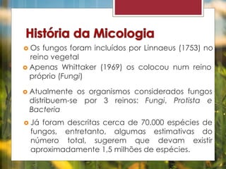 Os fungos foram incluídos por Linnaeus (1753) no 
reino vegetal 
 Apenas Whittaker (1969) os colocou num reino 
próprio (Fungi) 
 Atualmente os organismos considerados fungos 
distribuem-se por 3 reinos: Fungi, Protista e 
Bacteria 
 Já foram descritas cerca de 70.000 espécies de 
fungos, entretanto, algumas estimativas do 
número total, sugerem que devam existir 
aproximadamente 1,5 milhões de espécies. 
 