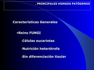 . PRINCIPALES HONGOS PATÓGENOS
•Reino FUNGI
-Células eucariotas
-Nutrición heterótrofa
-Sin diferenciación tisular
Características Generales
 