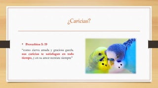 ¿Caricias?
• Proverbios 5: 19
“como cierva amada y graciosa gacela.
sus caricias te satisfagan en todo
tiempo, y en su amor recréate siempre”
 