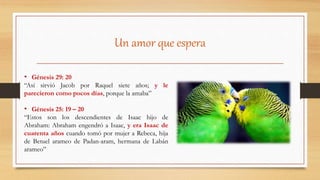 Un amor que espera
• Génesis 29: 20
“Así sirvió Jacob por Raquel siete años; y le
parecieron como pocos días, porque la amaba”
• Génesis 25: 19 – 20
“Estos son los descendientes de Isaac hijo de
Abraham: Abraham engendró a Isaac, y era Isaac de
cuarenta años cuando tomó por mujer a Rebeca, hija
de Betuel arameo de Padan-aram, hermana de Labán
arameo”
 