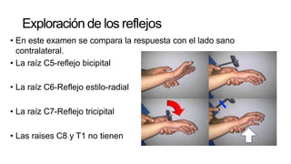 semiologia-de-miembros-pptx
