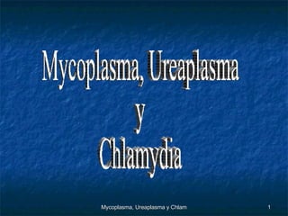 Mycoplasma, Ureaplasma  y  Chlamydia 